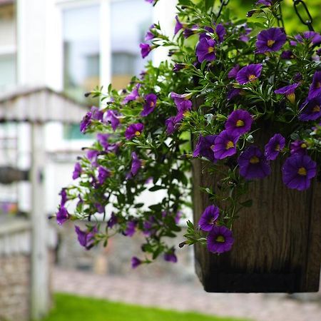 Adomo Rojus Apartment Palanga Ngoại thất bức ảnh